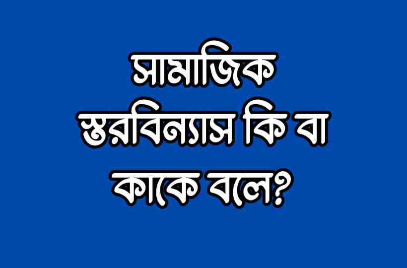 সামাজিক স্তর বিন্যাস কাকে বলে: ২০২৫ সালে সমাজ শ্রেণিভাগের বাস্তব উদাহরণ