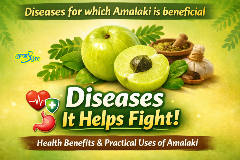 যে সকল রোগের উপকার করে আমলকি – আমলকীর স্বাস্থ্য উপকারিতা ও বাস্তব ব্যবহার