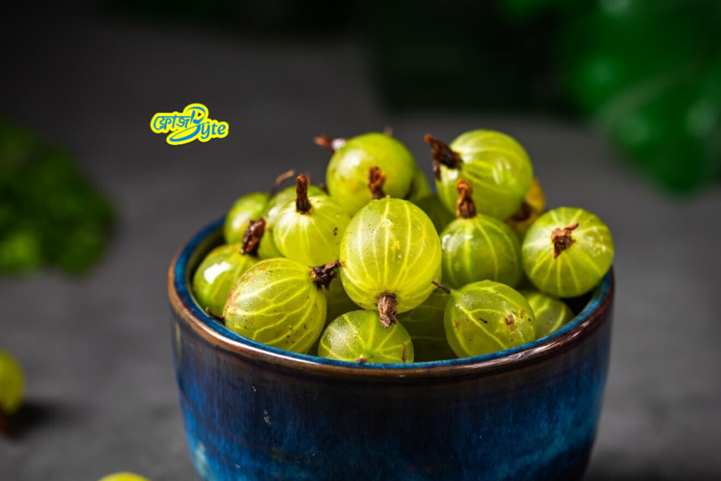 যে সকল রোগের উপকার করে আমলকি – আমলকীর স্বাস্থ্য উপকারিতা ও বাস্তব ব্যবহার