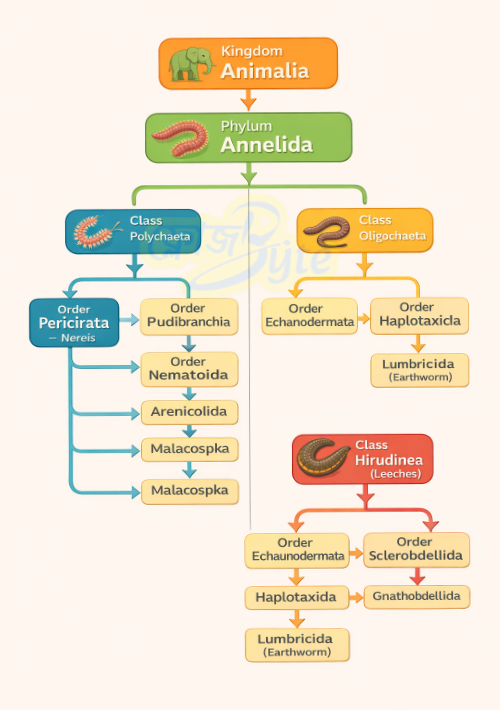 অষ্টম শ্রেণী বিজ্ঞান প্রথম অধ্যায়