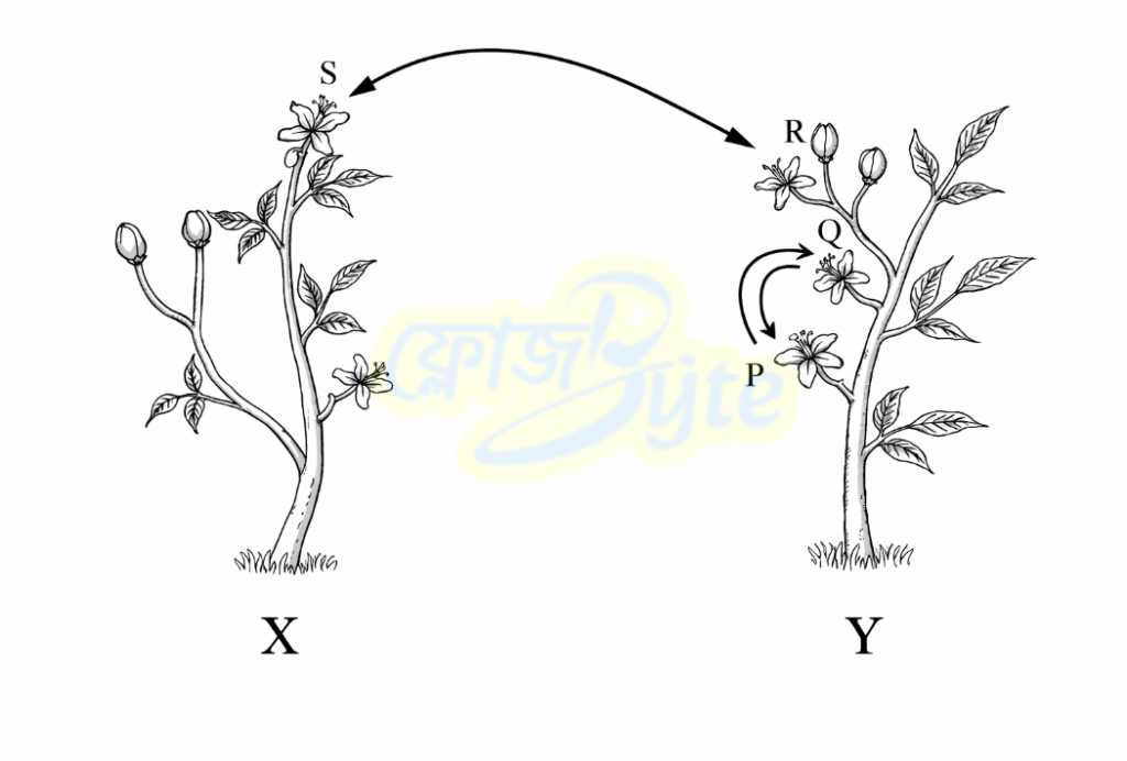 বিজ্ঞান উদ্ভিদের বংশবৃদ্ধি চিত্র 2