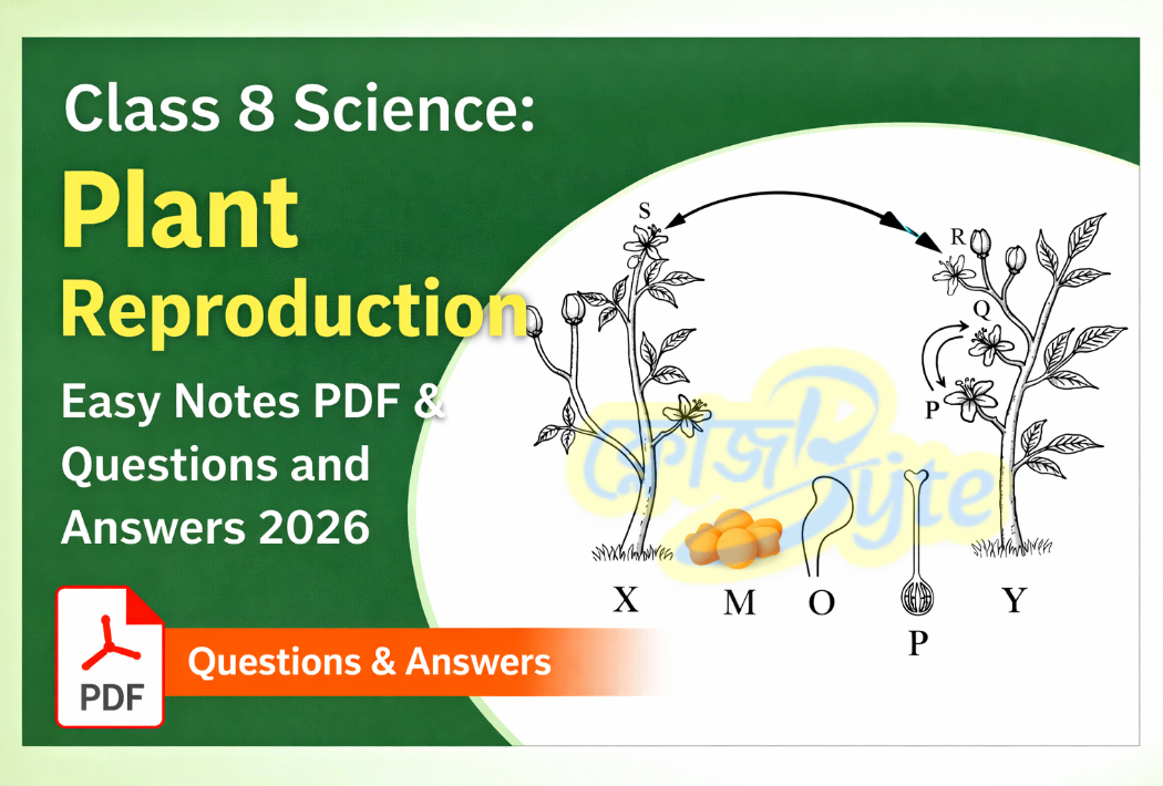 বিজ্ঞান উদ্ভিদের বংশবৃদ্ধি সহজ নোট PDF ও প্রশ্নোত্তর ২০২৬